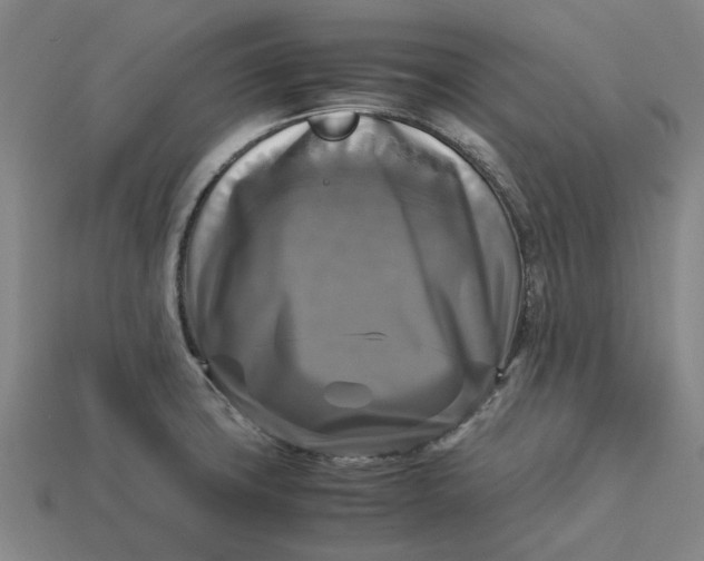 X0000113251427200910011337