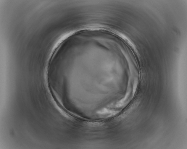 X0000113251429200910011337