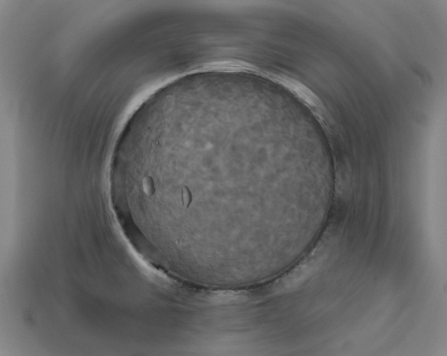 X0000113251430200910011337