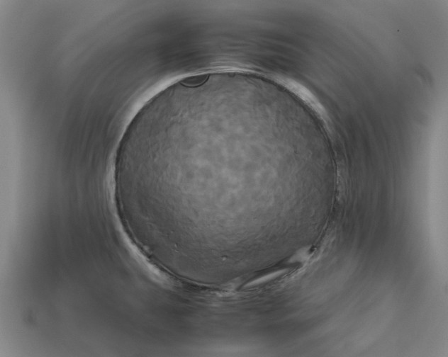 X0000113251431200910011337