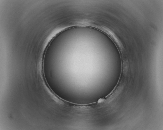 X0000113251432200910011337