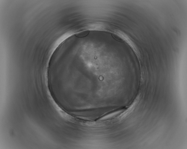 X0000113251434200910011337