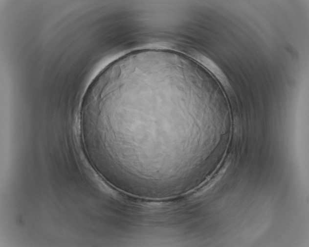 X0000113251436200910011337