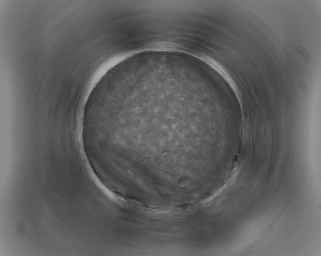 X0000113251437200910011337