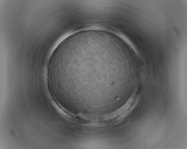 X0000113251438200910011337