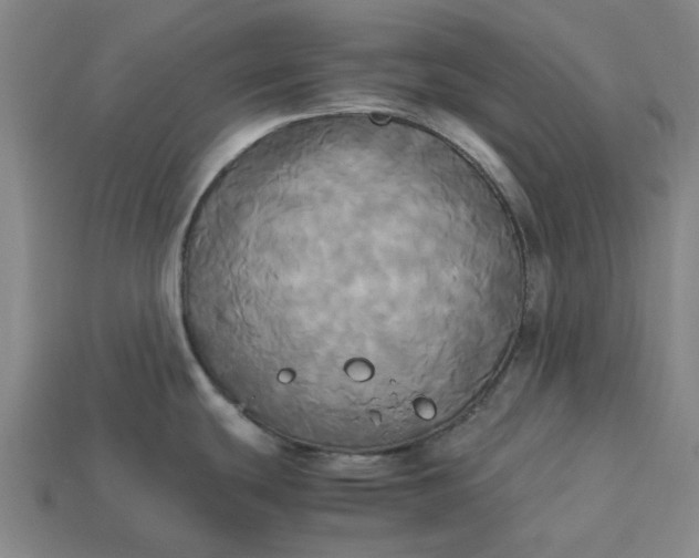 X0000113251439200910011337