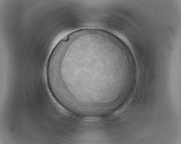 X0000113251440200910011337