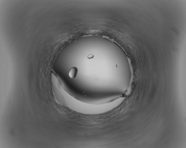 X0000113251441200910011336