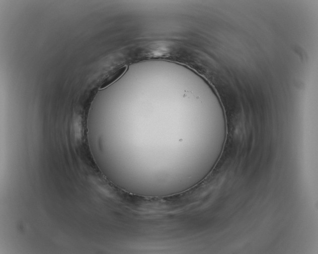 X0000113251442200910011336