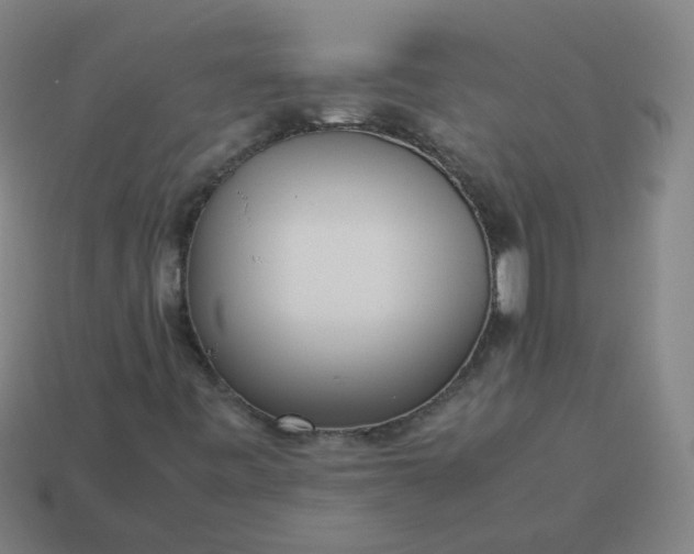 X0000113251443200910011336