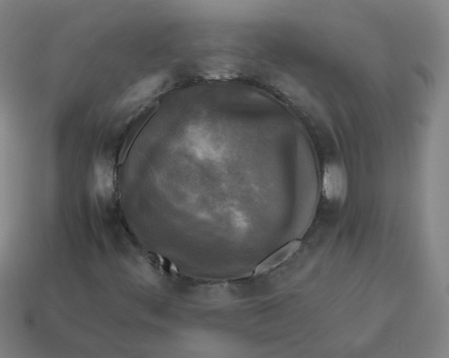 X0000113251444200910011336