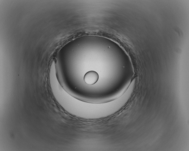 X0000113251445200910011336