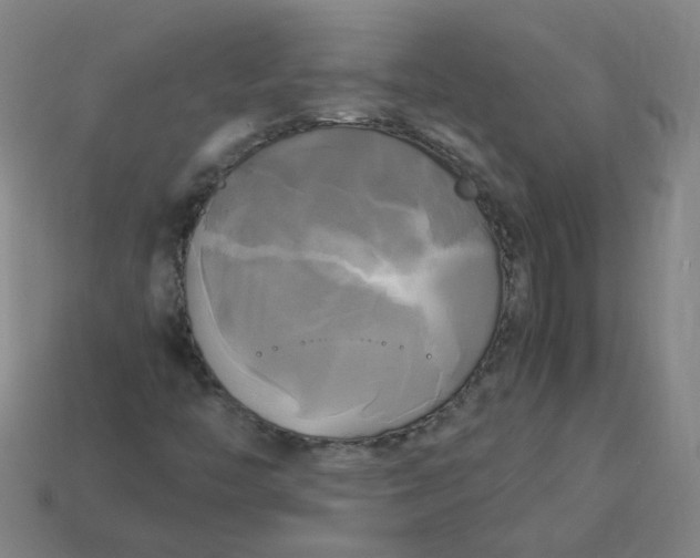 X0000113251446200910011336