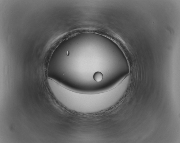 X0000113251448200910011336