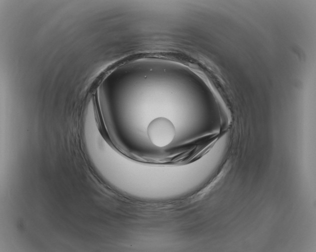 X0000113251449200910011336