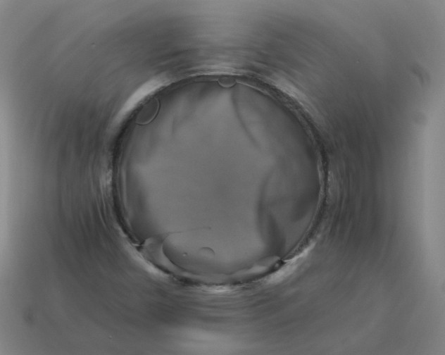 X0000113251450200910011336