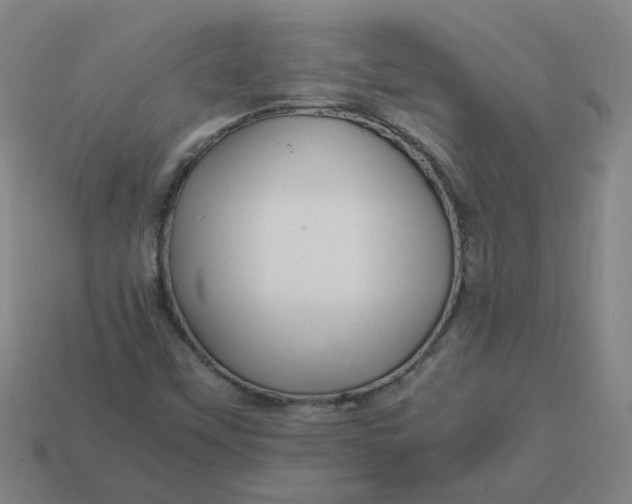 X0000113251451200910011336