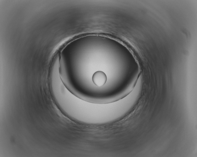 X0000113251452200910011336