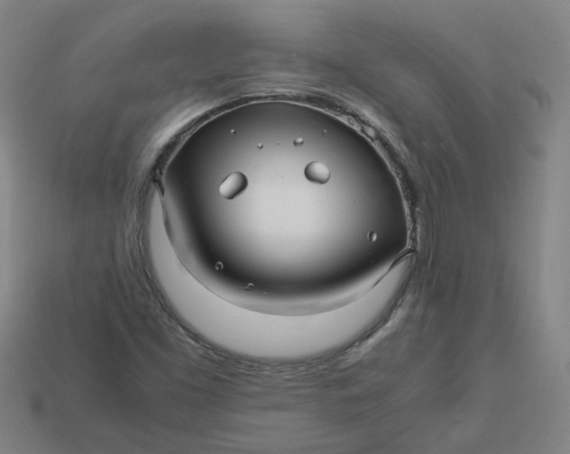 X0000113251453200910011336