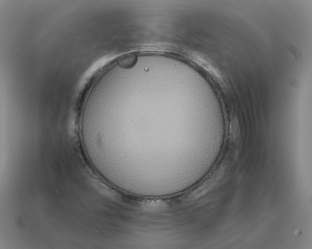 X0000113251454200910011336