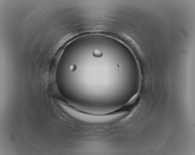 X0000113251457200910011336