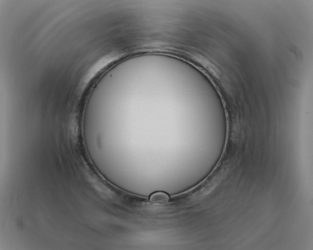 X0000113251458200910011336