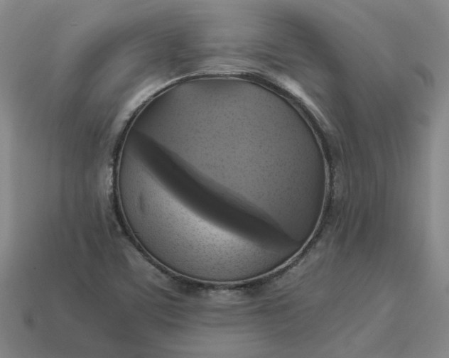 X0000113251459200910011336