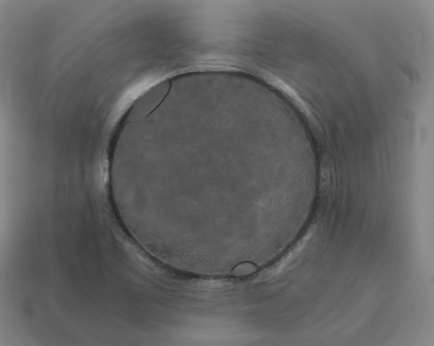 X0000113251461200910011336