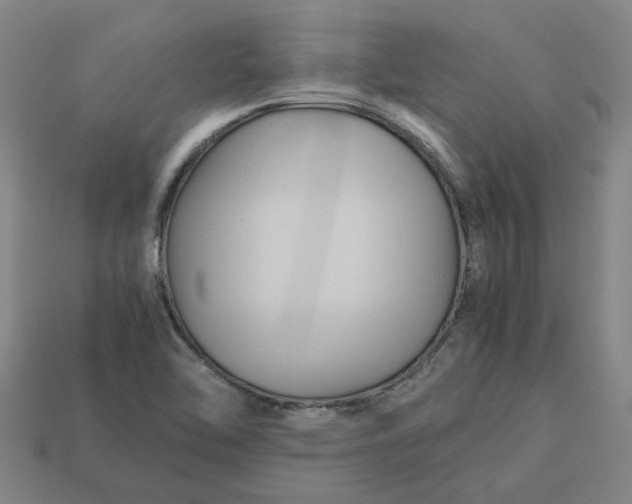 X0000113251462200910011336