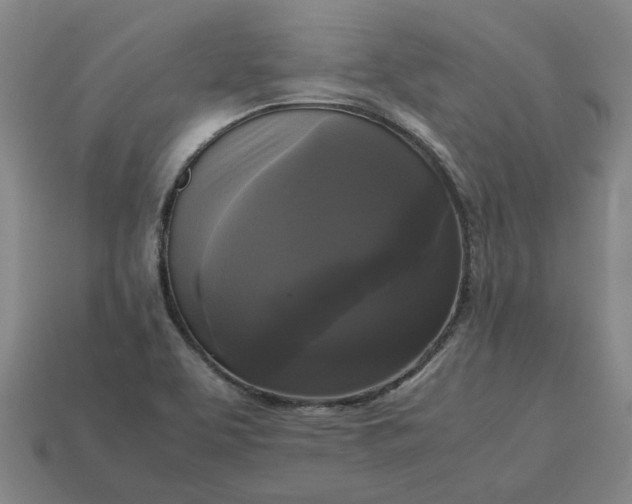 X0000113251463200910011336