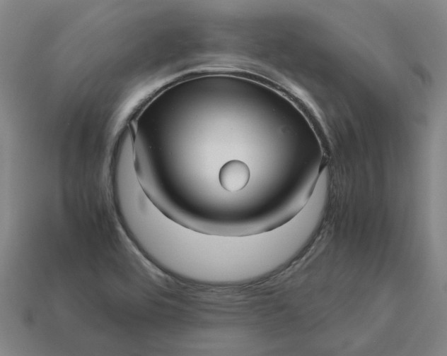 X0000113251464200910011336