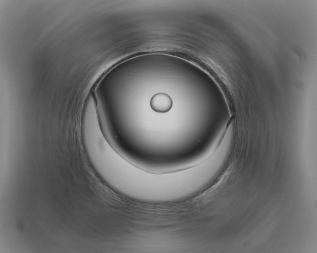 X0000113251465200910011336