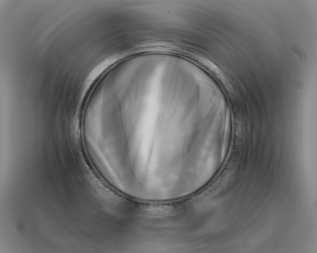 X0000113251466200910011336