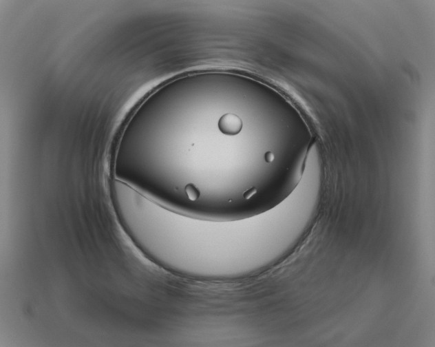 X0000113251468200910011336