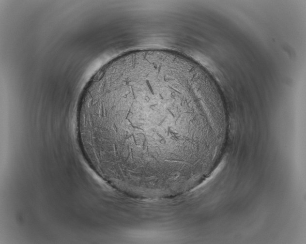 X0000113251469200910011336