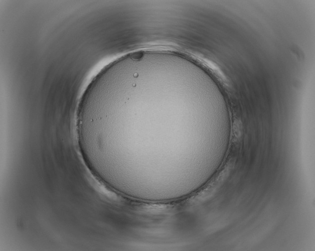 X0000113251470200910011336