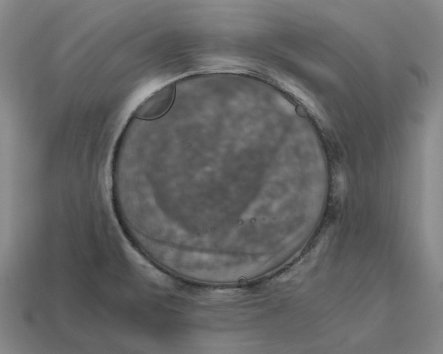 X0000113251471200910011336