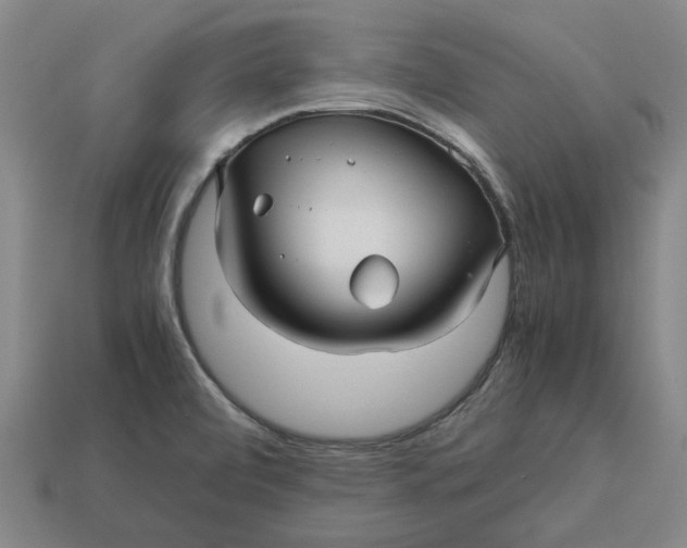 X0000113251472200910011336