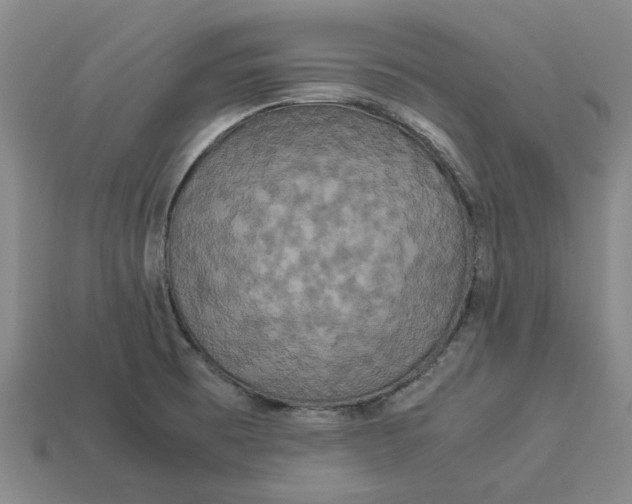 X0000113251473200910011336