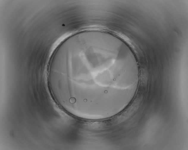 X0000113251474200910011336