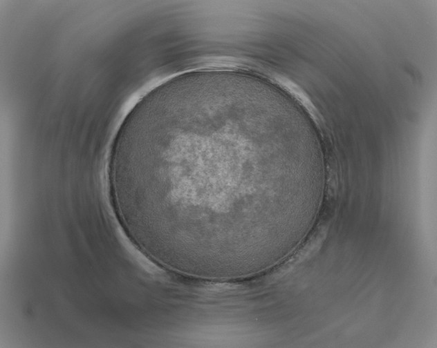 X0000113251475200910011336