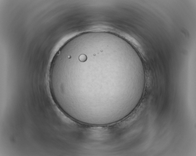 X0000113251478200910011336