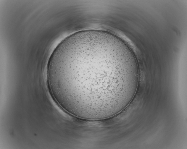 X0000113251479200910011336