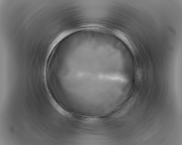 X0000113251482200910011336