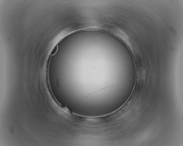 X0000113251483200910011336