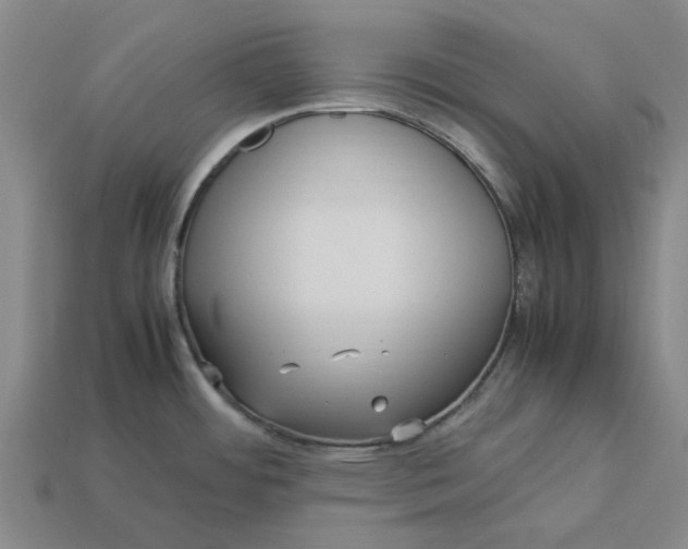 X0000113251484200910011336