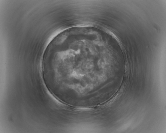 X0000113251487200910011336