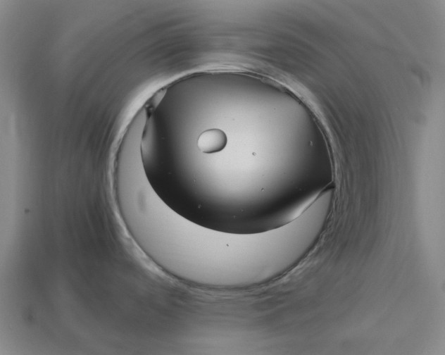 X0000113251488200910011336