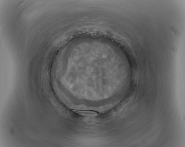 X0000113251489200910011335