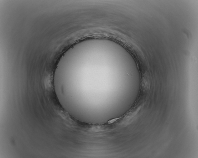 X0000113251490200910011335